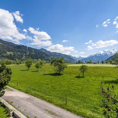 Contemporary In Near Area