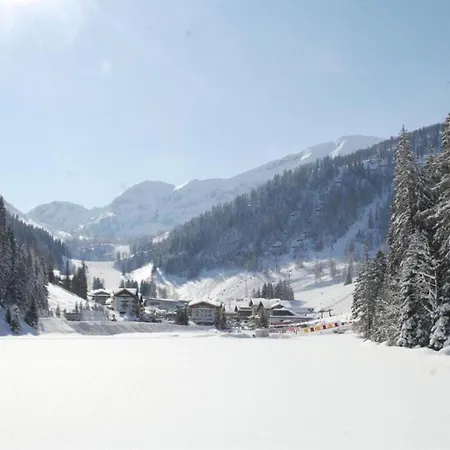 Apartman Contemporary In Near Area