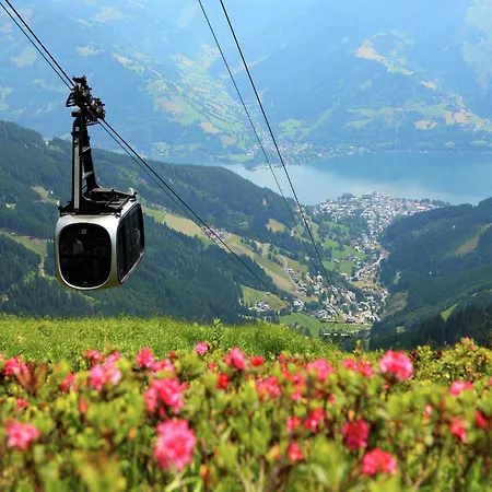 Contemporary In Near Area דירה *