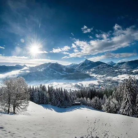 Apartman Contemporary In Near Area Maishofen