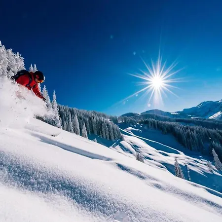 Contemporary In Near Area Maishofen