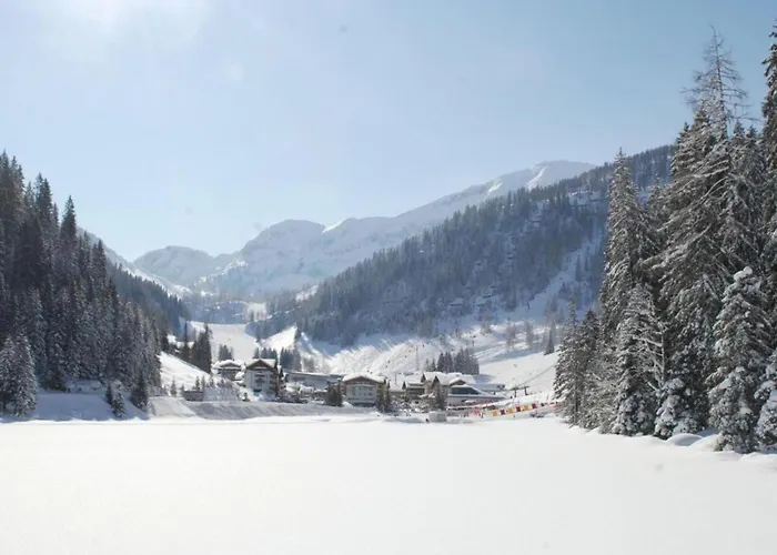 Daire Contemporary In Near Area