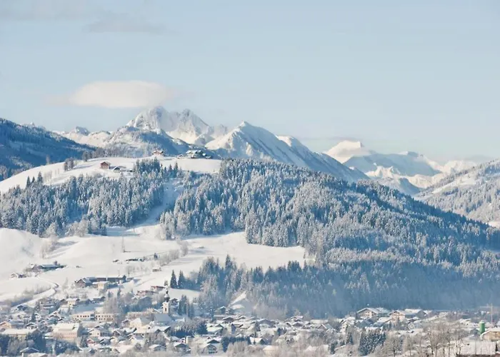 Contemporary In Near Area Maishofen