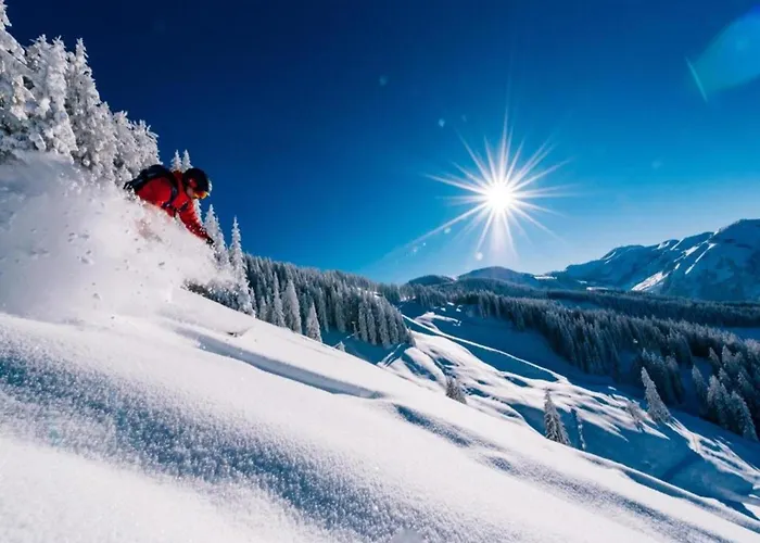 Contemporary In Near Area Maishofen